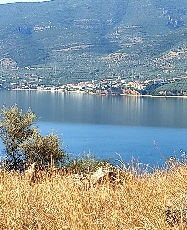 Villa Vasiliki Xiropigado Esterno foto